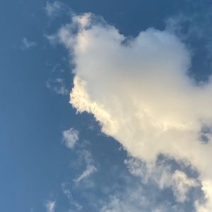 Meet your Posher, Carmen